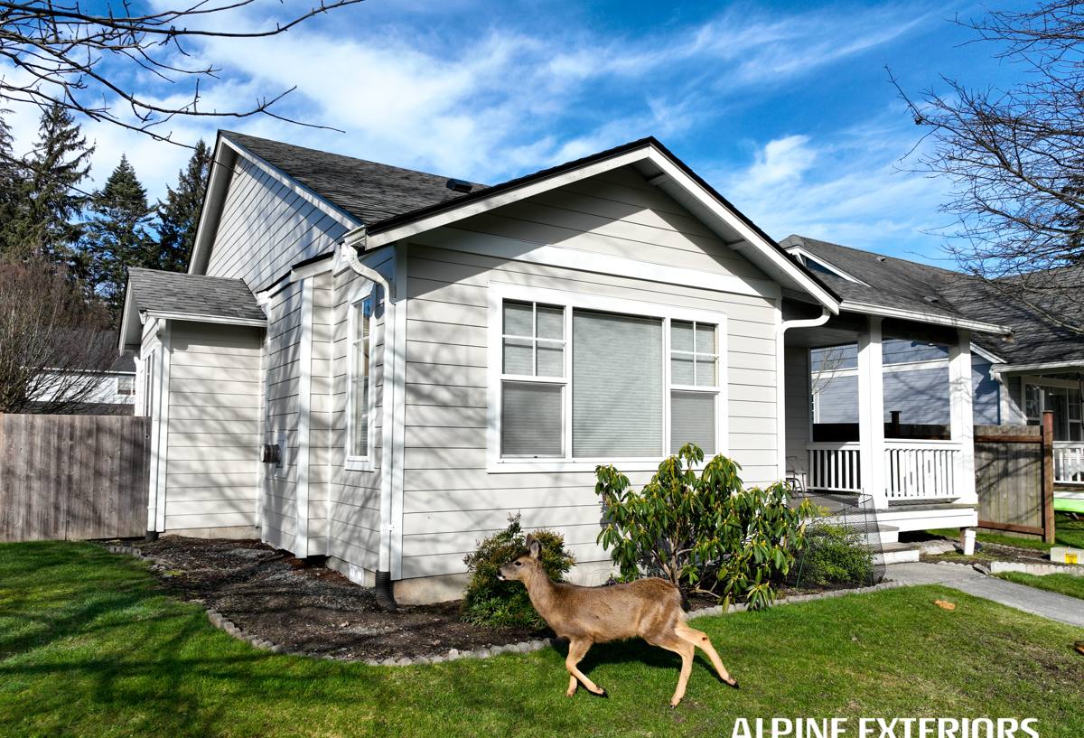 Custer Siding siding installation in Custer, WA